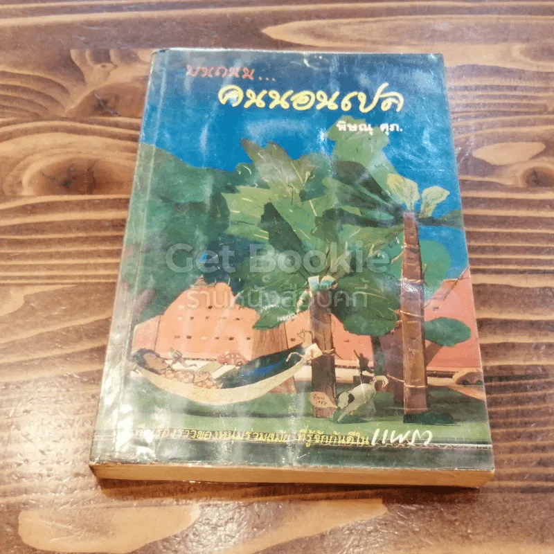 บนถนนคนนอนเปล รูปที่ 1