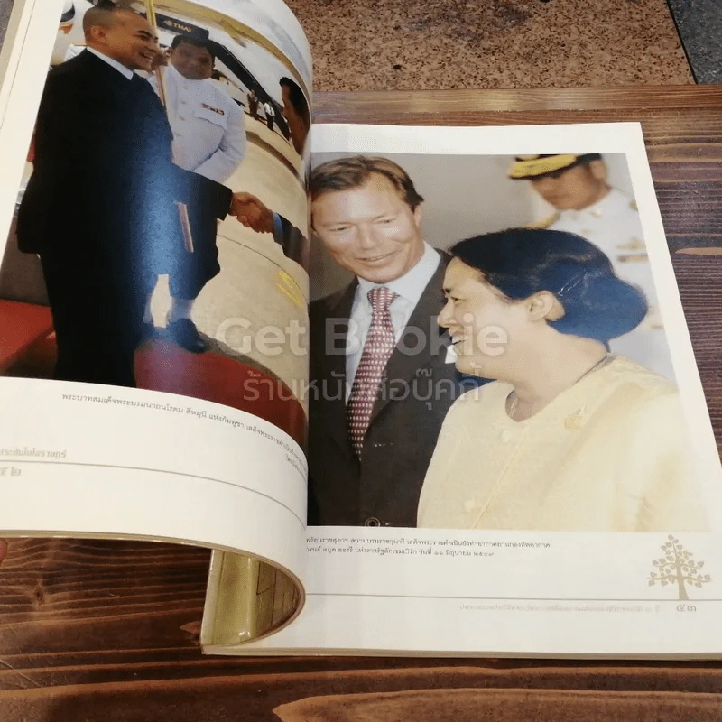 ประทับในใจราษฎร์ ประมวลภาพประวัติศาสตร์ ฉลองสิริราชสมบัติ 60 ปี รูปที่ 3
