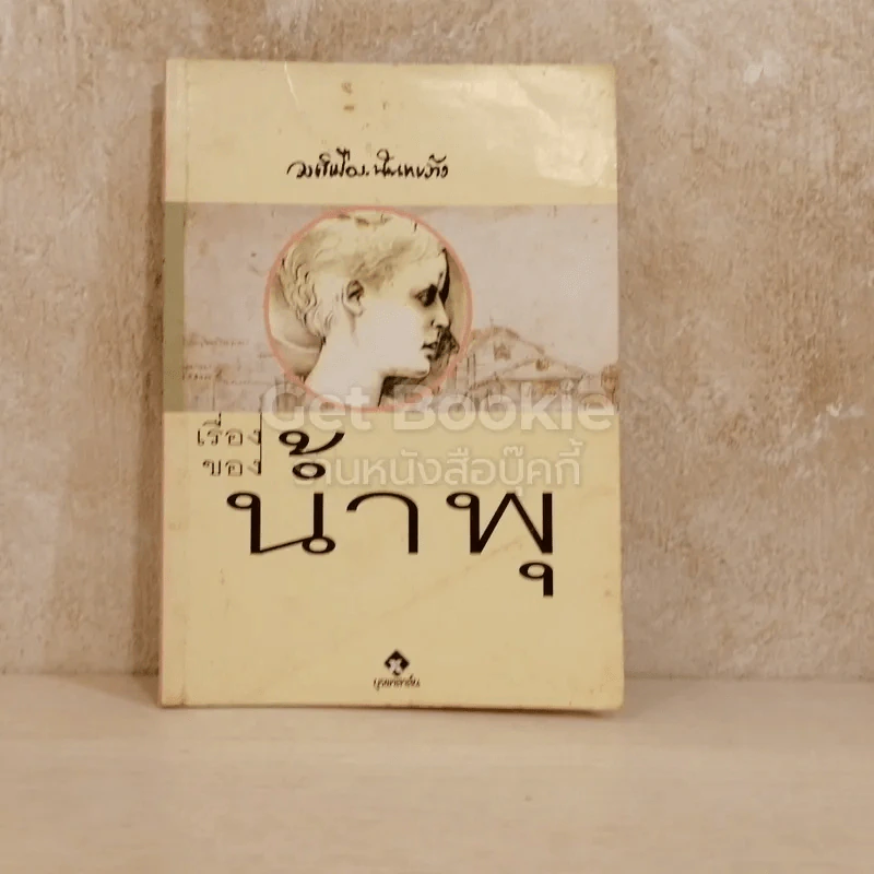 เรื่องของน้ำพุ รูปที่ 1