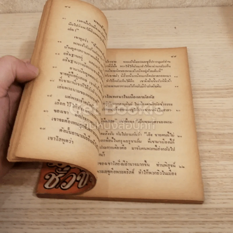 มิตรชั่วชีวิตดับ ฉบับประชานิยม รูปที่ 3