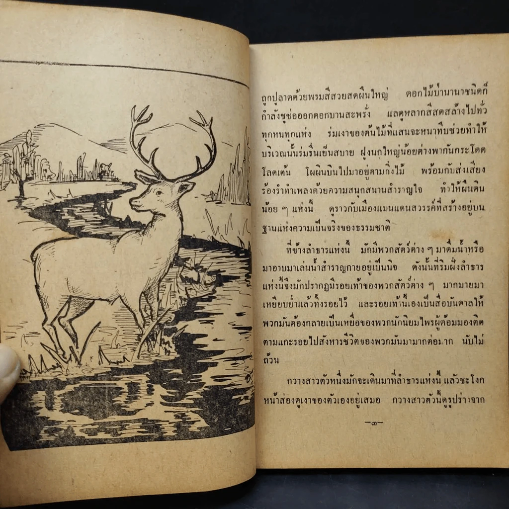 นิทานนานาชาติ รูปที่ 21