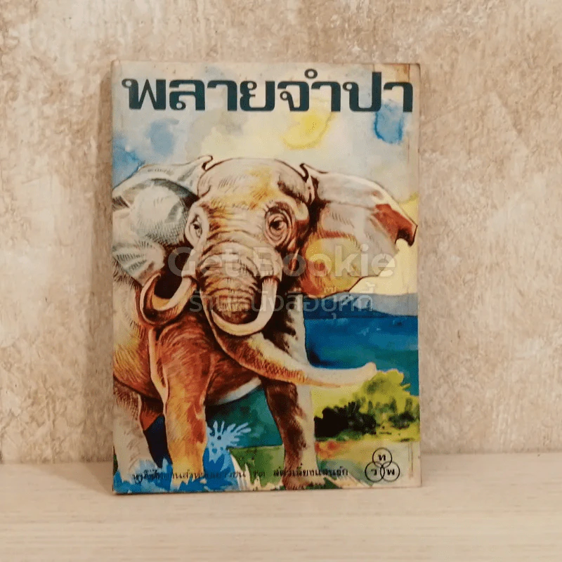 พลายจำปา รูปที่ 1