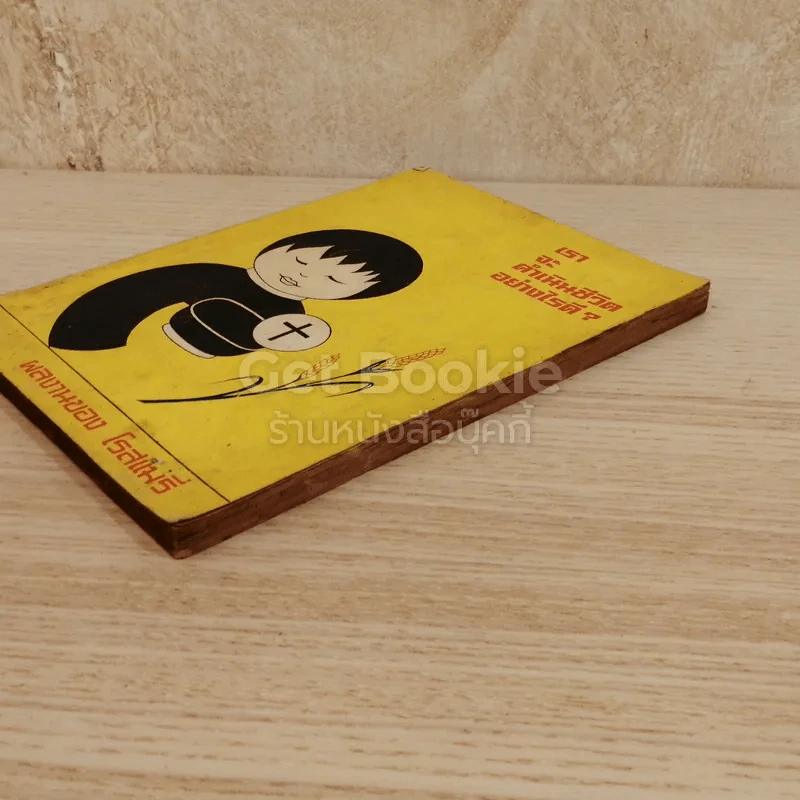 เราจะดำเนินชีวิตอย่างไรดี รูปที่ 3