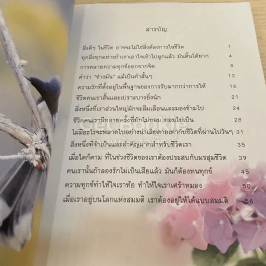 ธรรมสบายใจ รูปที่ 4
