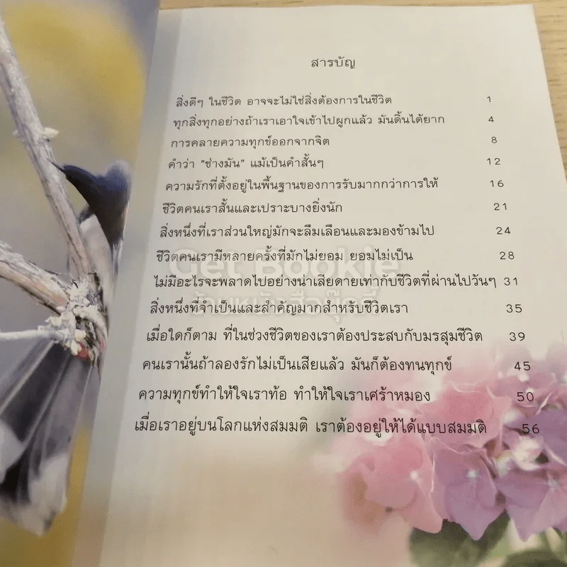 ธรรมสบายใจ รูปที่ 4