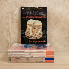 แม่วาดเมียบียอร์น 6 เล่ม รูปที่ 1