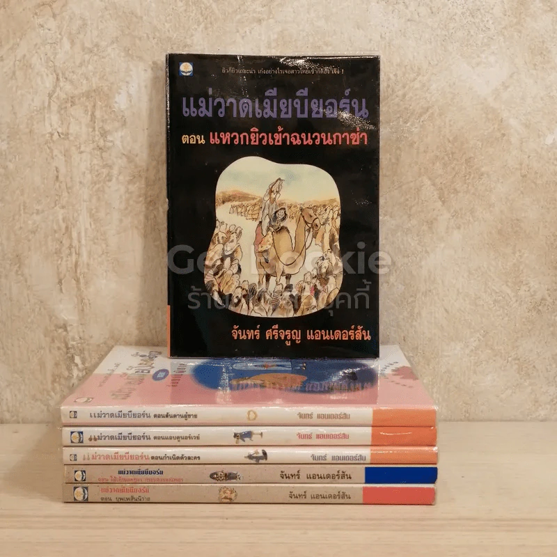 แม่วาดเมียบียอร์น 6 เล่ม รูปที่ 1