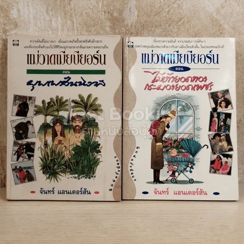 แม่วาดเมียบียอร์น 6 เล่ม รูปที่ 3