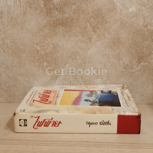 ไฟพ่าย รูปที่ 2