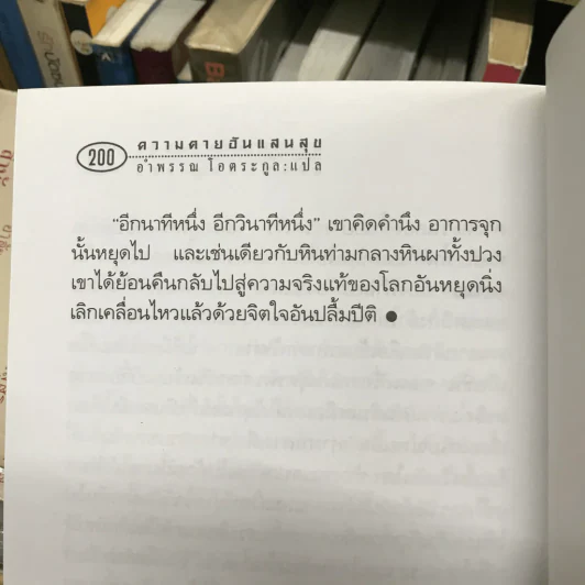 ความตายอันแสนสุข รูปที่ 14
