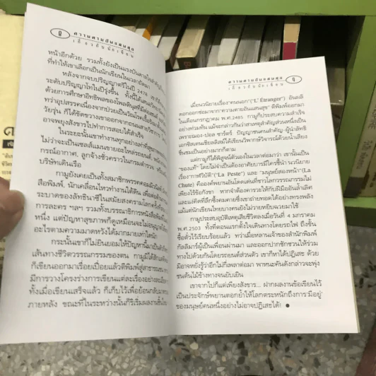 ความตายอันแสนสุข รูปที่ 9