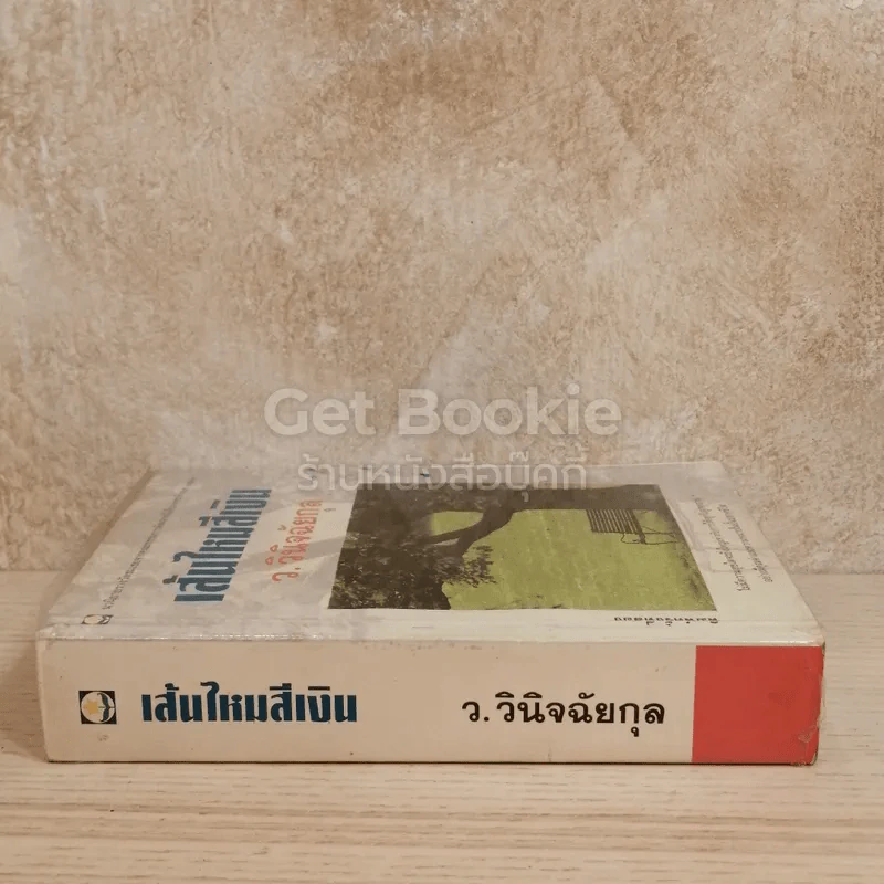 เส้นไหมสีเงิน รูปที่ 2