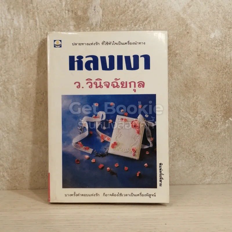 หลงเงา รูปที่ 1
