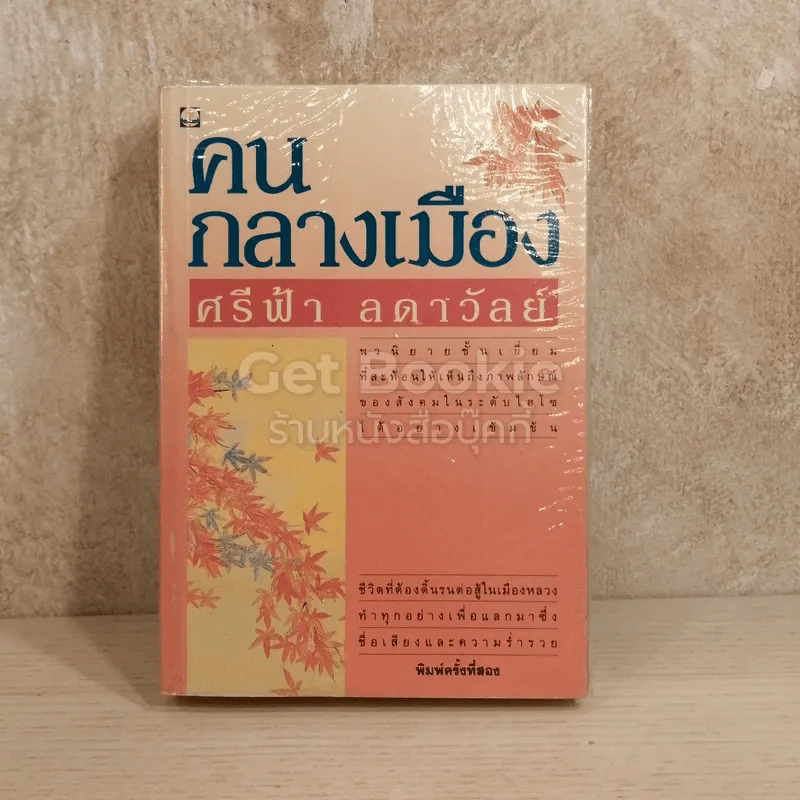 คนกลางเมือง รูปที่ 1