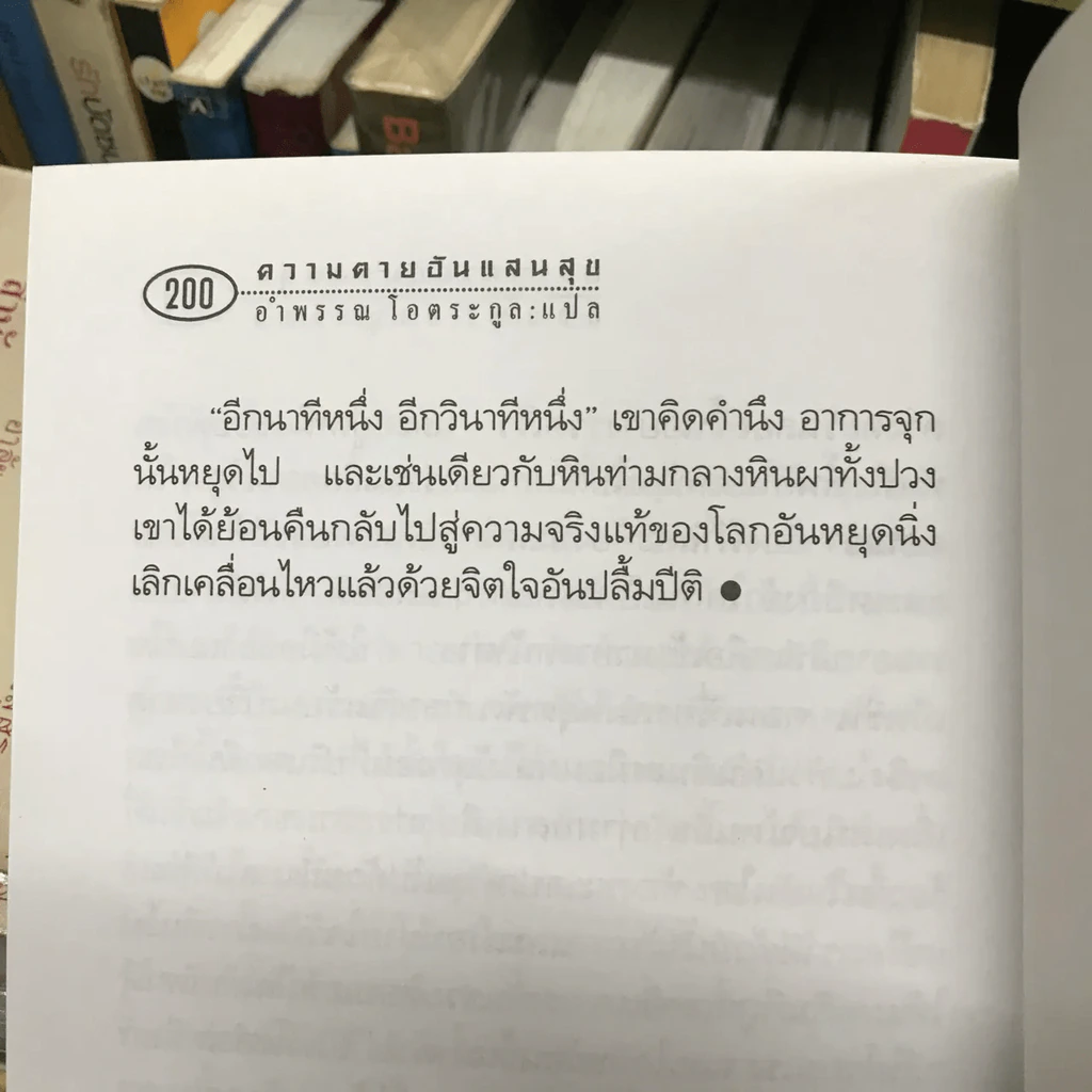 ความตายอันแสนสุข รูปที่ 14