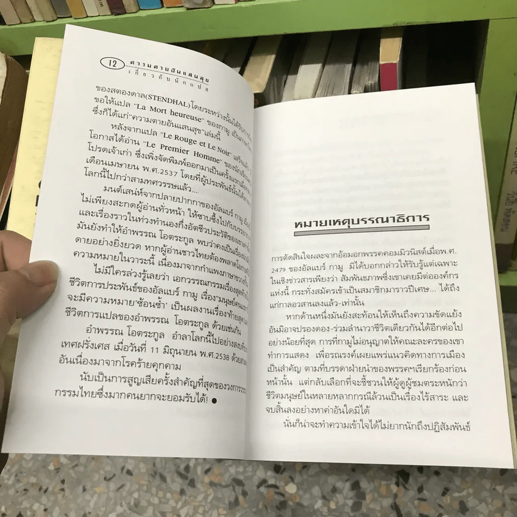 ความตายอันแสนสุข รูปที่ 11