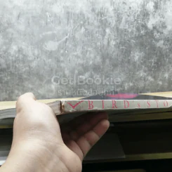 Bird's Story เบิร์ด ธงไชย รูปที่ 3