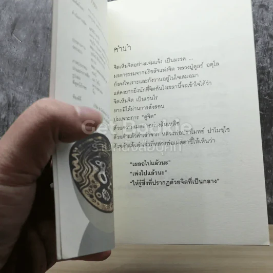 บันทึกดูจิตตอน จิตเห็นจิต รูปที่ 3