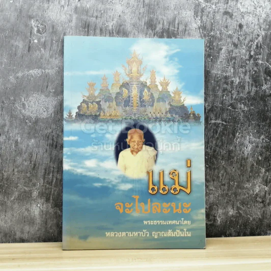 แม่จะไปละนะ รูปที่ 1