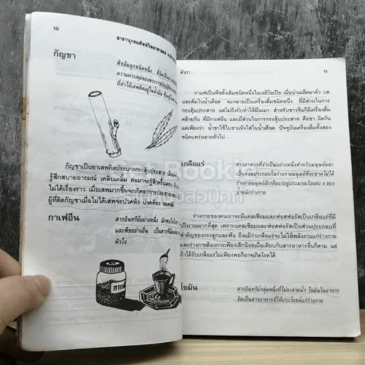 สารานุกรมศัพท์วิทยาศาสตร์ ระดับประถมศึกษา รูปที่ 7