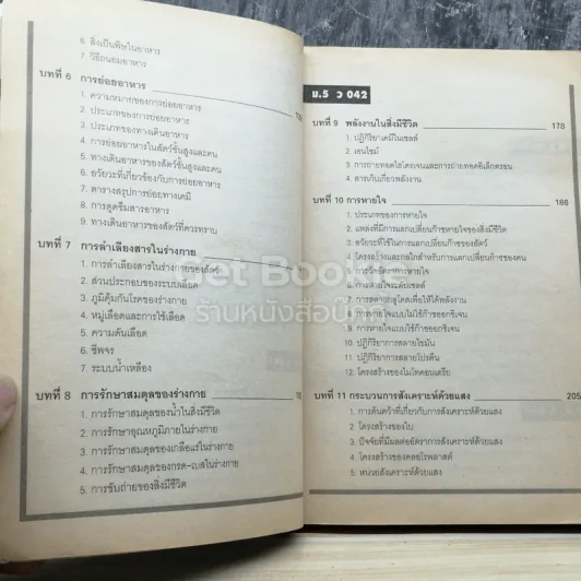 สรุปชีววิทยา ม.ปลาย รูปที่ 4
