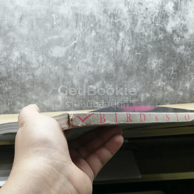 Bird's Story เบิร์ด ธงไชย รูปที่ 3