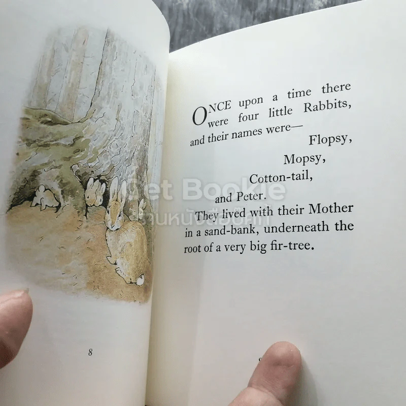 The Tale of Peter Rabbit รูปที่ 4