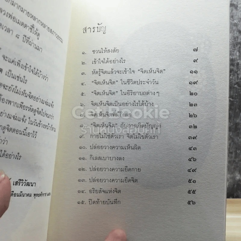 บันทึกดูจิตตอน จิตเห็นจิต รูปที่ 4