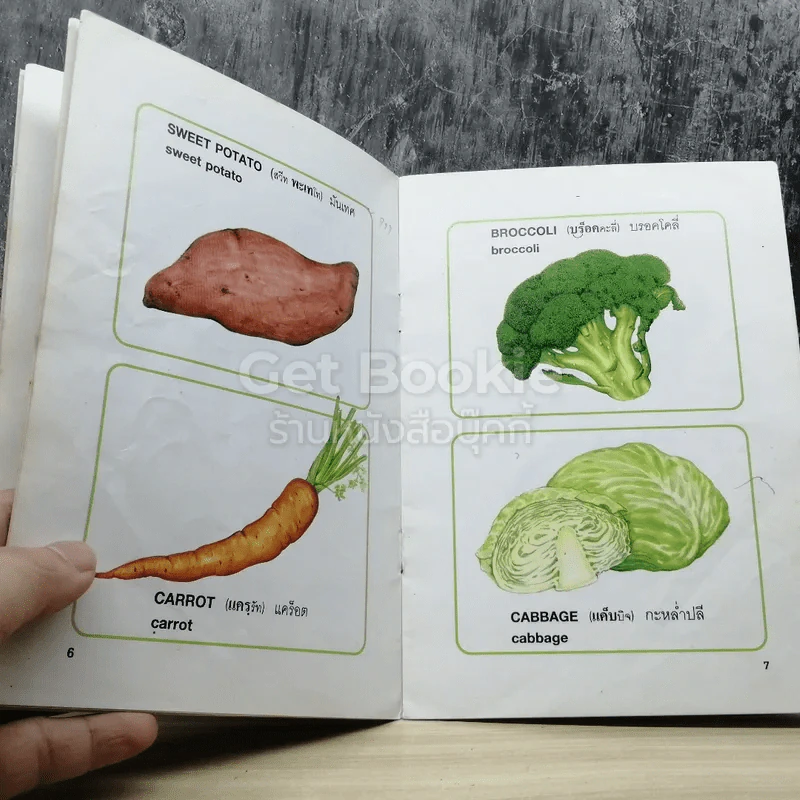 Vegetables I Know รูปที่ 6
