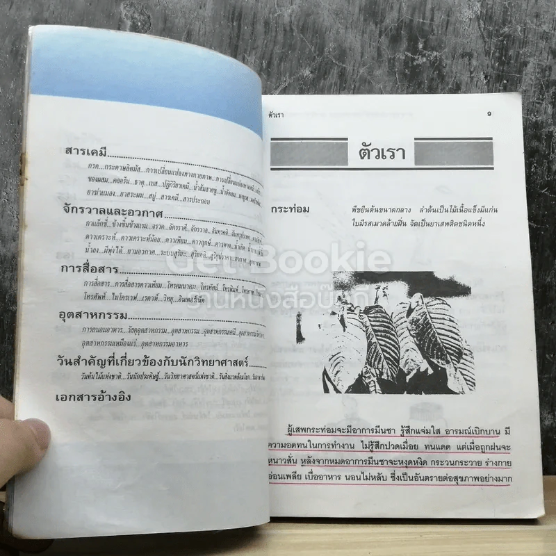 สารานุกรมศัพท์วิทยาศาสตร์ ระดับประถมศึกษา รูปที่ 6