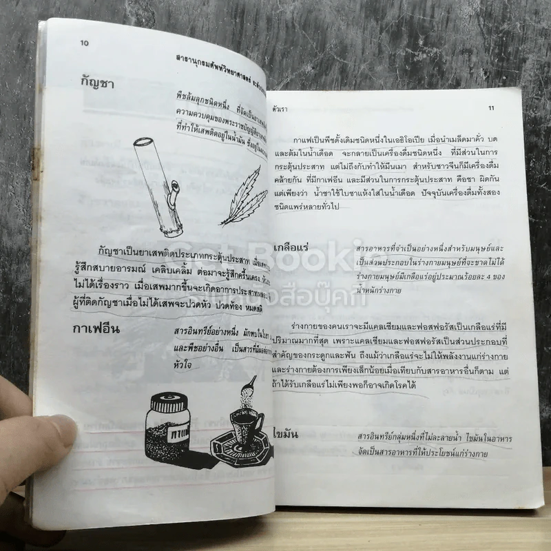สารานุกรมศัพท์วิทยาศาสตร์ ระดับประถมศึกษา รูปที่ 7