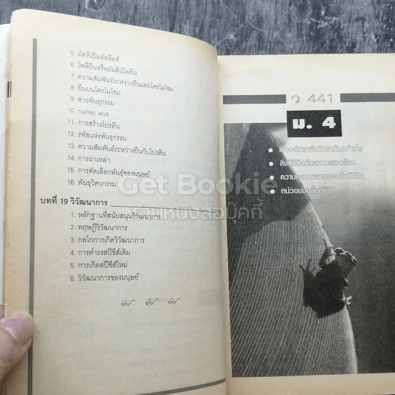 สรุปชีววิทยา ม.ปลาย รูปที่ 6