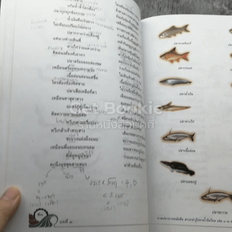 วรรณคดีวิจักษ์ ชั้นมัธยมศึกษาปีที่ 6 รูปที่ 8