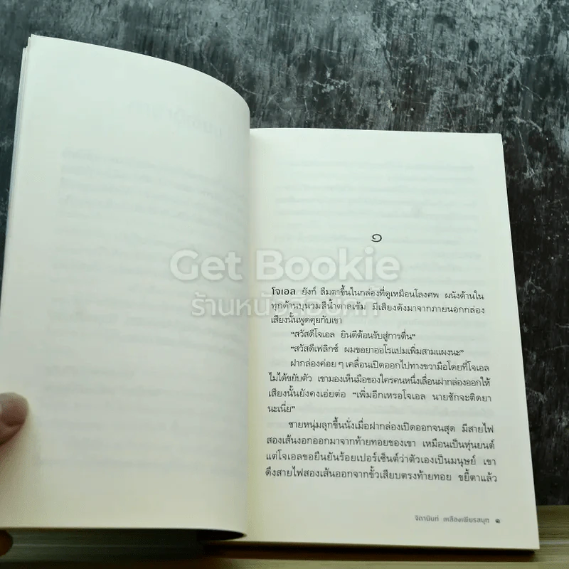 ยุคสมัยแห่งความสิ้นหวัง Generation of Hopelessness รูปที่ 4