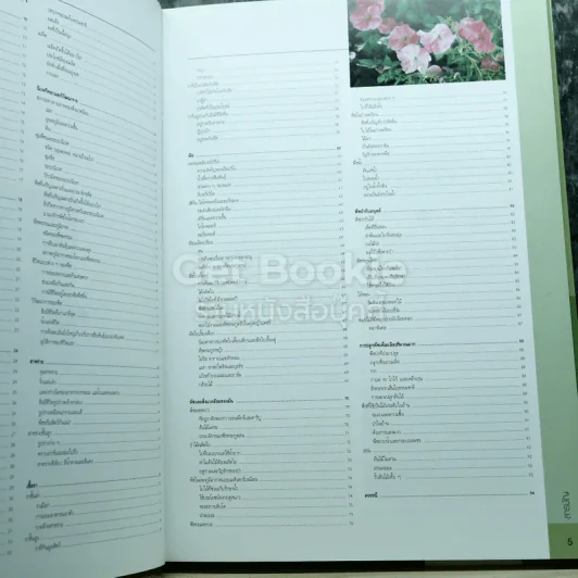 ชีววิทยา+ฟิสิกส์และเคมี+พฤกษศาสตร์ รูปที่ 12