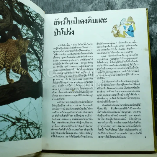 Disney's โลกมหัศจรรย์ เล่ม 1-4 รูปที่ 21