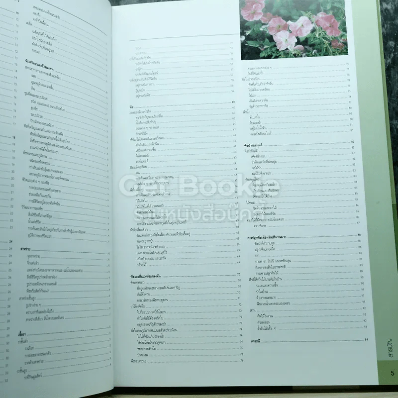 ชีววิทยา+ฟิสิกส์และเคมี+พฤกษศาสตร์ รูปที่ 12