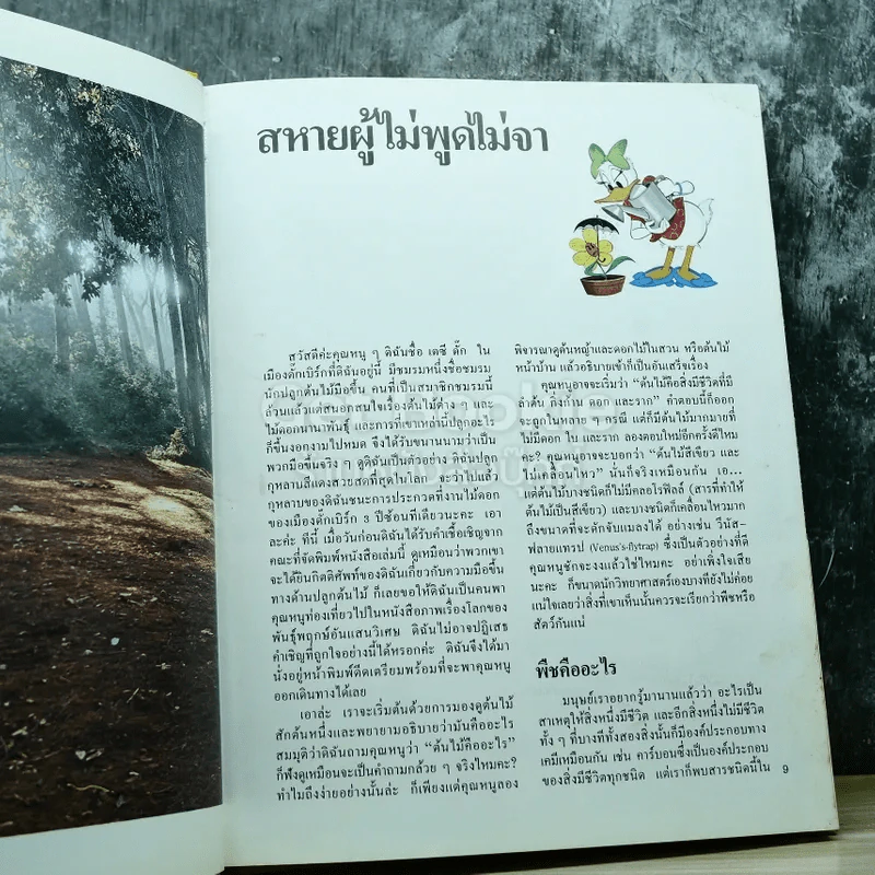 Disney's โลกมหัศจรรย์ เล่ม 1-4 รูปที่ 17