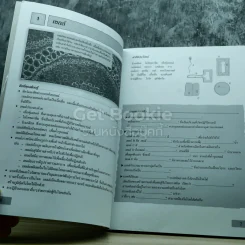 สรุปทบทวน วิทยาศาสตร์ ประถมศึกษา เล่ม 1-3 รูปที่ 7