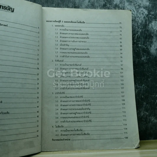 สังคมศึกษา ศาสนาและวัฒนธรรม ม.2 รูปที่ 7