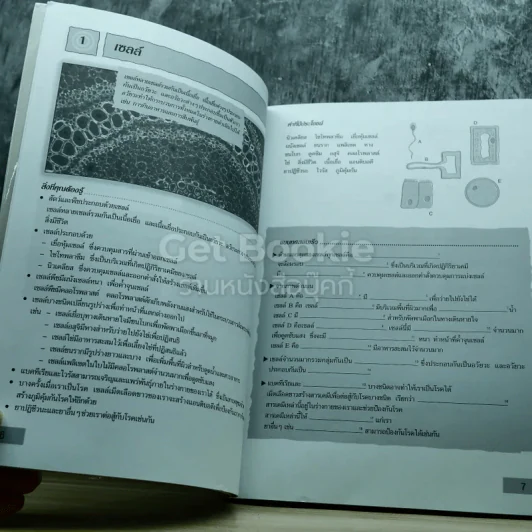 สรุปทบทวน วิทยาศาสตร์ ประถมศึกษา เล่ม 1-3 รูปที่ 7