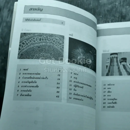 สรุปทบทวน วิทยาศาสตร์ ประถมศึกษา เล่ม 1-3 รูปที่ 5