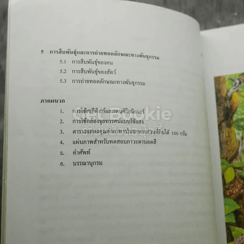 ชีววิทยา ชีวิตกับสิ่งแวดล้อม สิ่งมีชีวิตกับกระบวนการดำรงชีวิต ชั้นมัธยมศึกษาปีที่ 3 รูปที่ 8