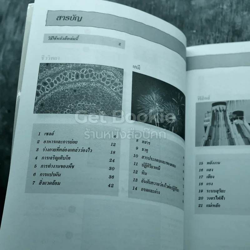 สรุปทบทวน วิทยาศาสตร์ ประถมศึกษา เล่ม 1-3 รูปที่ 5