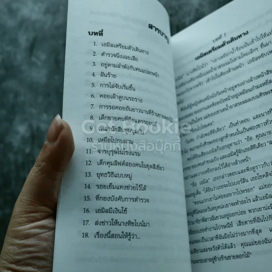 เอมิลยอดนักสืบ หนังสือใหม่มือหนึ่ง รูปที่ 6