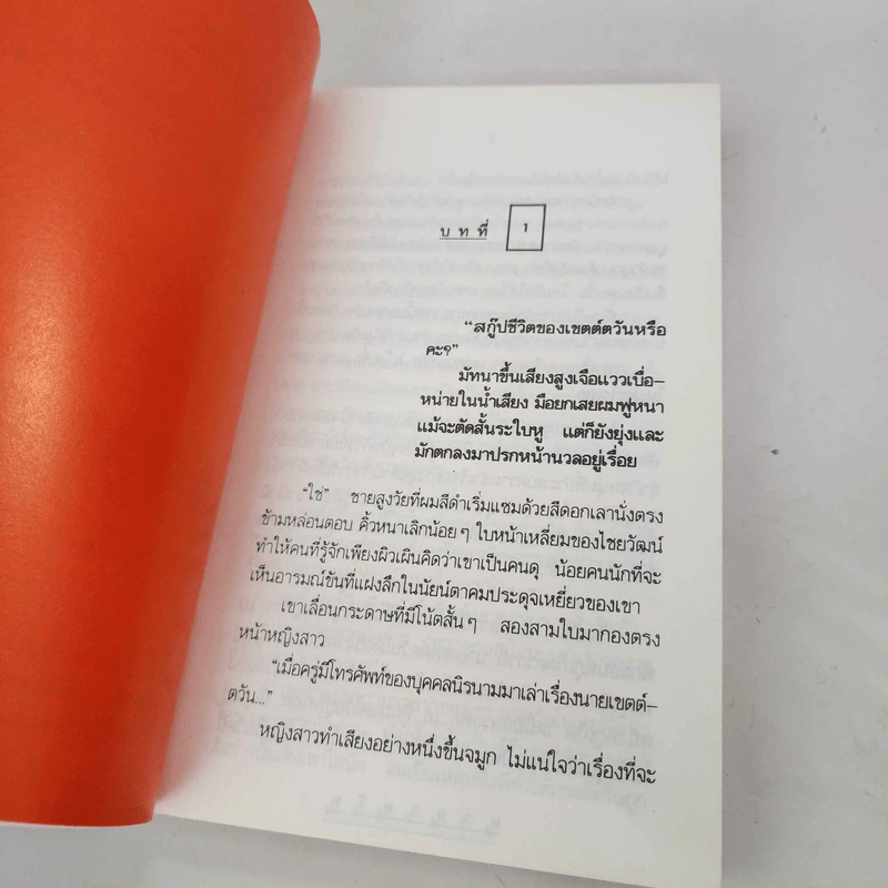 มายาตวัน 2 เล่มจบ - กิ่งฉัตร รูปที่ 9