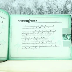 เพลง 3 คอร์ด รูปที่ 7