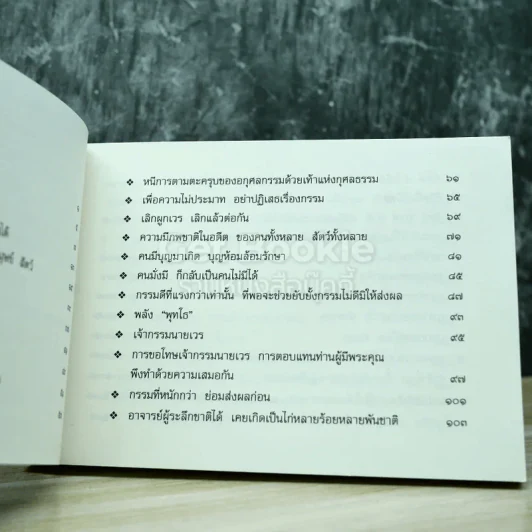 ชีวิตนี้น้อยนัก สมเด็จพระญาณสังวร สมเด็จพระสังฆราช สกลมหาสังฆปริณายก รูปที่ 11