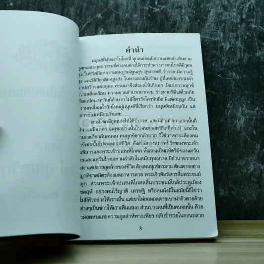 ความไม่ยั่งยืนของมนุษย์ โดย ศรีรัตน์ บุณฑริก พ.ศ.2546 รูปที่ 3