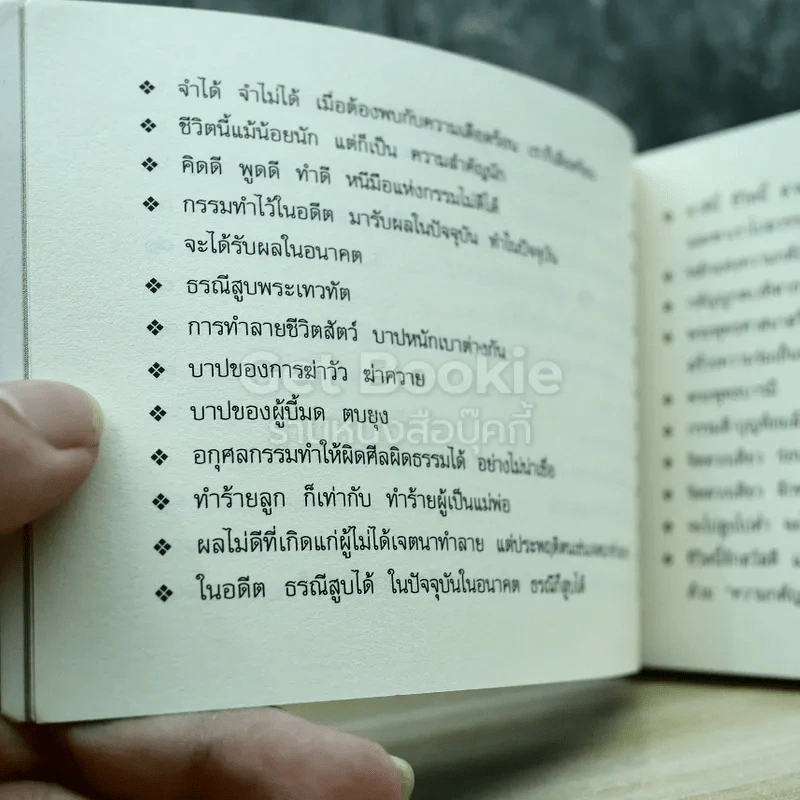 ชีวิตนี้น้อยนัก สมเด็จพระญาณสังวร สมเด็จพระสังฆราช สกลมหาสังฆปริณายก รูปที่ 12